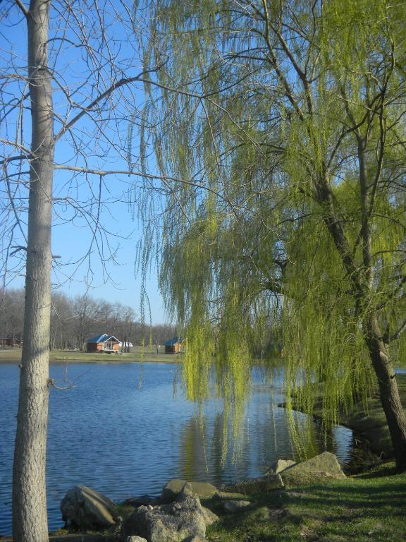 Serenity Springs - Michigan City Ξενοδοχείο Springfield Εξωτερικό φωτογραφία